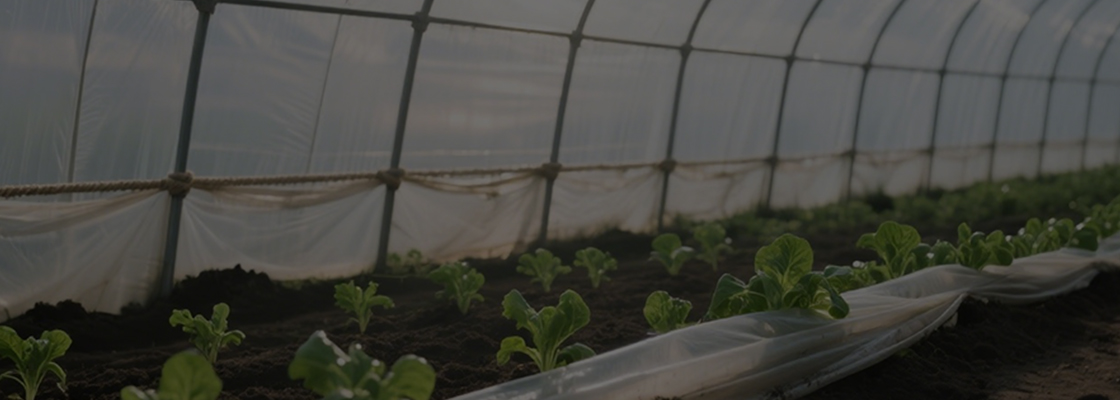 مواد شیمیایی مصرف روزانه